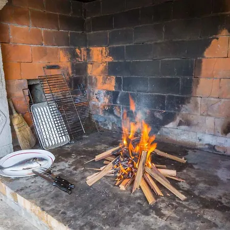 Case de vacanță In 40737